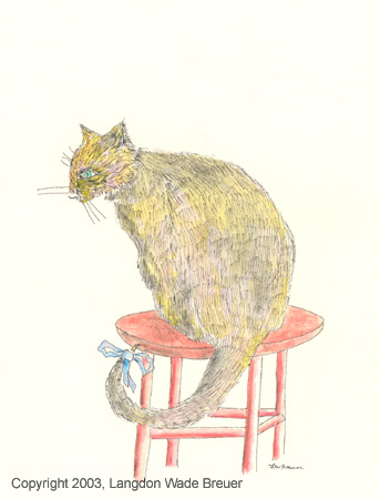 002 cats playing